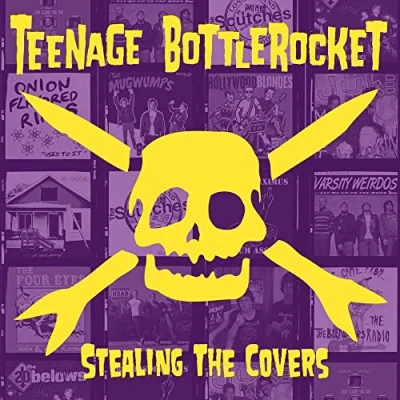 Abbildung von Stealing the Covers [Vinyl LP]