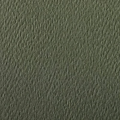 Abbildung von Clairefontaine 93886C Packung (mit 25 Bögen Zeichenpapier Etival Color, DIN A4, 21 x 29,7 cm, 160g, gekörnt, ideal für Trockentechnik und Einrahmen) wassergrün