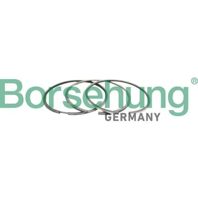 Abbildung von Kolbenringsatz Borsehung B10366