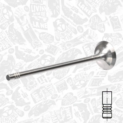Abbildung von ET ENGINETEAM VE0135 Auslaßventil 25,1mm Auslassseite PEUGEOT: 208 I Schrägheck, 207 308 CC, CITROËN: Berlingo II, C3 II