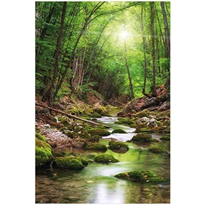 Abbildung von Wallario Poster Fluss im Wald in Premiumqualität, Größe: 61 x 91,5 cm (Maxiposter)