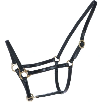 Abbildung von HB Halfter Big Foal Leder Schwarz Jährling