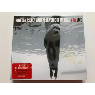 Abbildung von How Can I Sleep With Your Voice In My Head A ha Live
