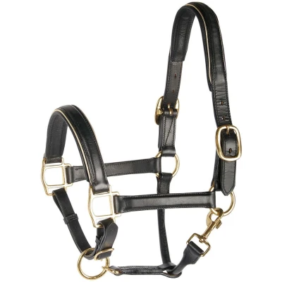 Abbildung von Harry&#039;s Horse Halfter Leder, schwarz mit Besatz Cob Gold