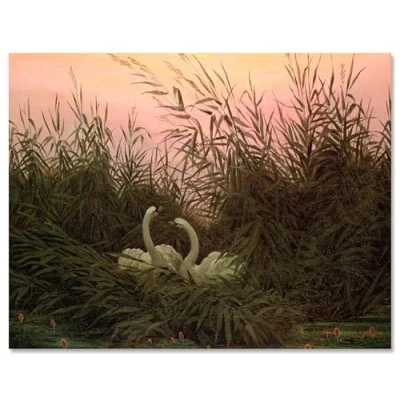 Abbildung von wandmotiv24 Leinwandbild Schwäne im Schilf Caspar David Friedrich M0856