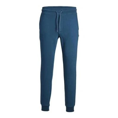 Abbildung von Jack &amp; Jones Jogginghose, Herren, Größe: Large, Sailor blue