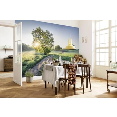 Abbildung von Komar Fototapete &quot;Meadow Trail&quot;, 368x254 cm (Breite x Höhe), inklusive Kleister
