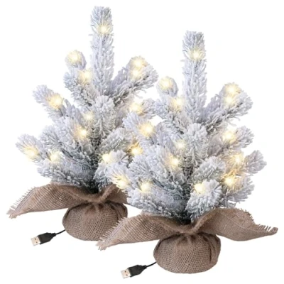 Abbildung von infactory Deko Tannenbaum mit LED: 2er Set Weihnachtsbaum Schnee, 20 LEDs, 26 cm, USB Betrieb (Beleuchtete Dekoweihnachtsbaum, Leuchtbaum LED)