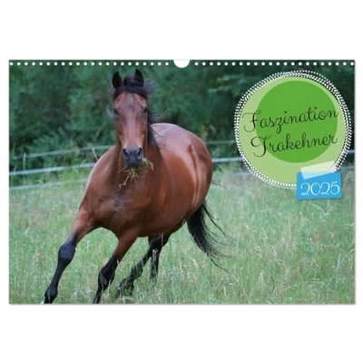 Abbildung von Faszination Trakehner (Wandkalender 2025 DIN A3 quer), CALVENDO Monatskalender