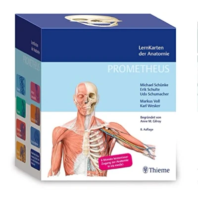 Abbildung von PROMETHEUS LernKarten der Anatomie