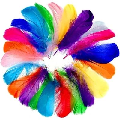 Abbildung von Faburo 500 Stück Bunte Federn, Feder Handwerk,8 12cm, in Gemischte Farben