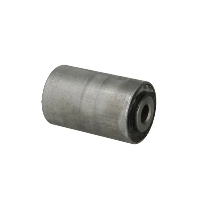 Abbildung von Lagerung, Querlenker DELPHI TD573W
