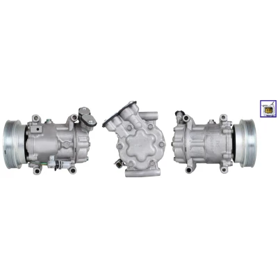 Abbildung von LUCAS ACP01293 Kompressor PAG 46 YF R 134a, 1234yf mit Dichtungen RENAULT: Kangoo II / Grand Kangoo, Express, Be Bop