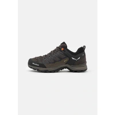 Abbildung von Salewa Mtn Trainer Lite GTX Men Zustiegsschuhe