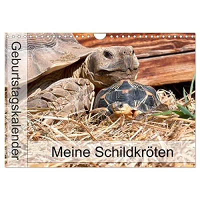 Abbildung von Meine Schildkröten Geburtstagskalender (Wandkalender 2025 DIN A4 quer), CALVENDO Monatskalender