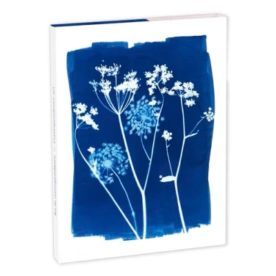 Abbildung von Clairefontaine 83507C Korrespondenzset Cyanotype mit 8 Einzelkarten 11x15,5 cm sortiert und Umschlägen Pollen C6 Naturweiß, 1 Set