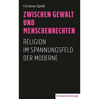 Abbildung von Zwischen Gewalt und Menschenrechten: Religion im Spannungsfeld der Moderne