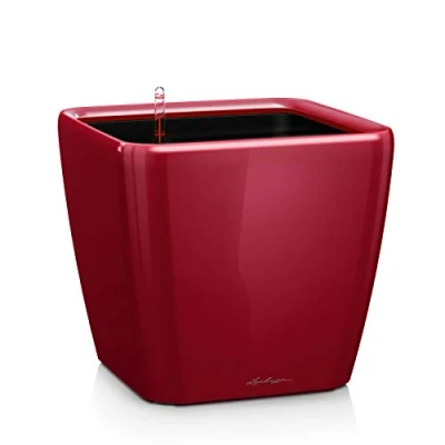 Abbildung von LECHUZA QUADRO Premium LS 21 scarlet rot hochglanz 16127