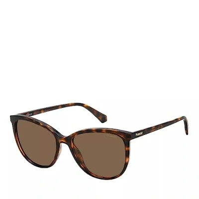 Abbildung von Polaroid PLD 4138/S 086 Polarisierte Sonnenbrille 55/18/145