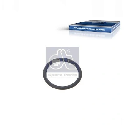 Abbildung von Dichtring DT Spare Parts 1.24313