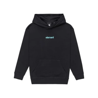 Abbildung von Element Simple Logo Kapuzenpulli Jungs 8 16 L/14 Blau
