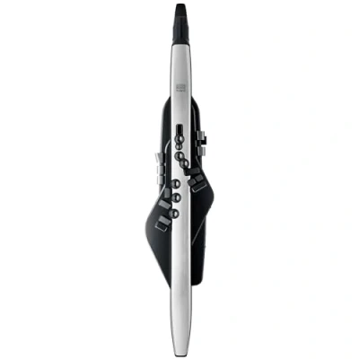 Abbildung von Roland AE 30 Aerophone Pro Professionelles digitales Blasinstrument mit wegweisendem ZEN Core Synthese System und SuperNATURAL Sounds. Traditionelles Saxofon Griffsystem, Bluetooth, Editor App