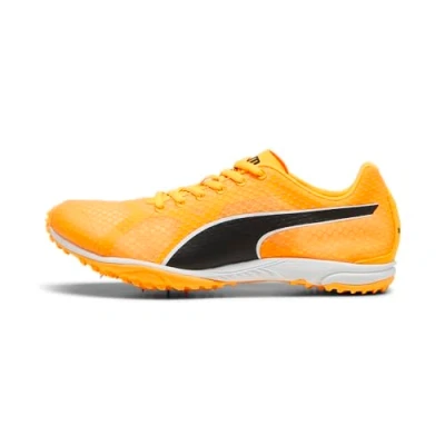 Abbildung von Spikes Leichtathletikschuhe Puma