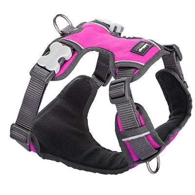Abbildung von Red Dingo Hundegeschirr, gepolstert, Größe S, Hot Pink