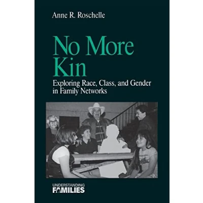 Abbildung von No More Kin: Exploring Race, Class, and Gender in Family Networks (Understanding Families series)