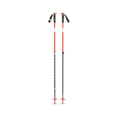 Abbildung von Black Diamond Traverse Skistöcke
