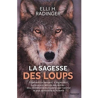 Abbildung von La sagesse des loups: Comment ils pensent, s&#039;organisent, se soucient les uns autres...