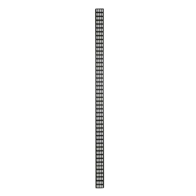Abbildung von DSIT 47HE vertikale Kabelführungsleiste 30 cm breit