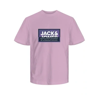 Abbildung von Jack &amp; Jones T Shirt &quot;JCOLOGAN SUMMER PRINT TEE CREW NECK FST&quot;