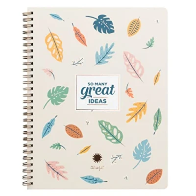 Abbildung von Mr. Wonderful A5 Notebook So many great ideas