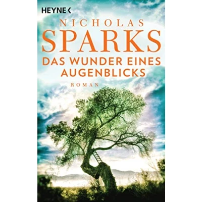 Abbildung von Das Wunder eines Augenblicks: Roman