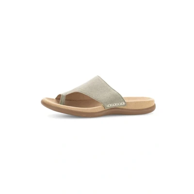 Abbildung von Gabor Damen Pantoletten, Frauen Slipper,Best Fitting,Schlupfschuhe,schluepfschuhe,Slip ons,Backless Slipper,Mules,Schilf,37 EU / 4 UK