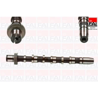 Abbildung von FAI AutoParts C276 Nockenwelle für Zylinder 1 3 AUDI: A6 C5 Avant, A4 B7 B6 VOLKSWAGEN: Passat B5 GP Variant, Limousine