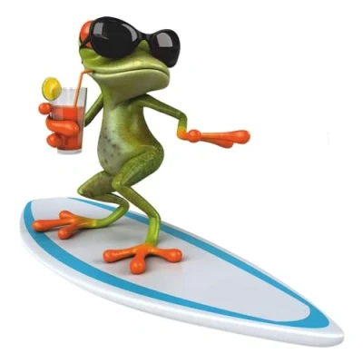 Abbildung von Sticker Surfer Frosch XXL I 75 x cm Fun Aufkleber für Badezimmer Wohnwagen Wohnmobil als Auto lustig cool wetterfest kfz_331