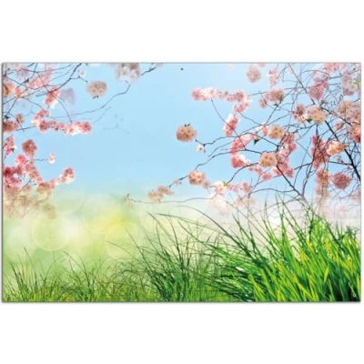 Abbildung von Wallario Outdoor Poster für Garten oder Balkon Kirschblütenzweige und grüne Wiese Frühling, Motivbanner Größe: ca. 60 x 90 cm, Bild