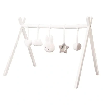 Abbildung von roba® Spielbogen Spieltrapez, Spiel und Greiftrainer nach Montessori, mit Spielset für Babys