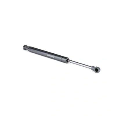 Abbildung von RIDEX 219G0578 Heckklappendämpfer 250 296 beidseitig BMW: Z4 Coupe, Roadster