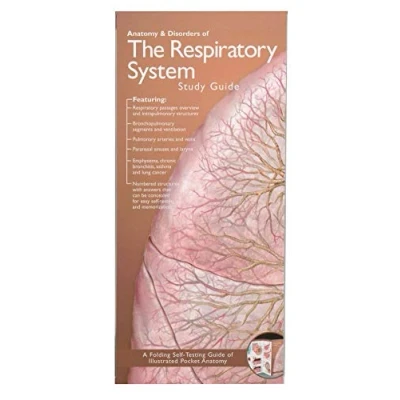 Abbildung von Anatomy &amp; Disorders of The Respiratory System