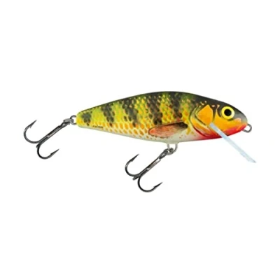Abbildung von Barsch Lockvogel Salmo FLO 12g