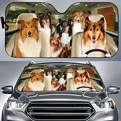 Abbildung von Sonnenblende Einfache Lagerung Auto Windschutzscheiben Abdeckung Wasserbeständig Sonnenschutz Universal Für Meisten Fahrzeuge Lastwagen Rough Collie Teamfreunde Fahren M