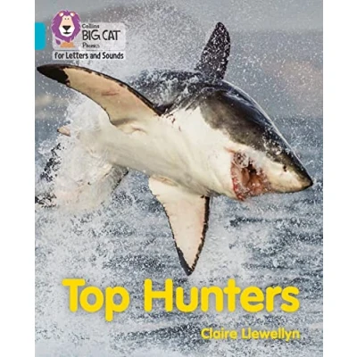 Abbildung von Top Hunters: Band 07/Turquoise (Collins Big Cat Phonics for Letters and Sounds)