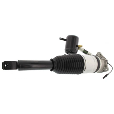 Abbildung von MAPCO 40894 Luftfederbein Hinterachse links AUDI: A8 D3, VOLKSWAGEN: Phaeton