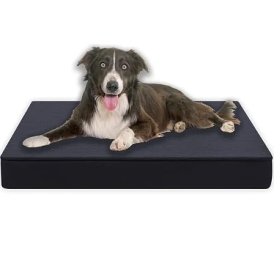 Abbildung von MyBestBuddy Hundekissen Premium orthopädisch mit 8 cm Vollschaum Kern grau 80x60 L, Hundematte Stoffbezug, 40C waschbar, allergikerfreundlich Hundebett für mittelgroße Hunde, 80 x 60