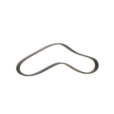 Abbildung von DAYCO 6PK1025 Keilrippenriemen