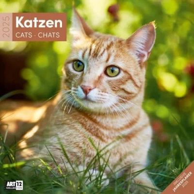 Abbildung von Katzen 2025, Wandkalender / Broschürenkalender im Hochformat (aufgeklappt 30x60 cm) Art12 Geschenk Kalender mit Monatskalendarium zum Eintragen