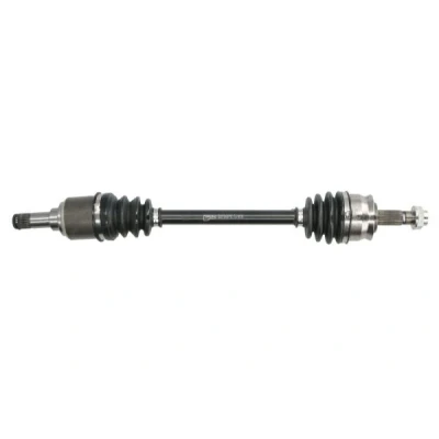 Abbildung von Antriebswelle PASCAL G2F043PC